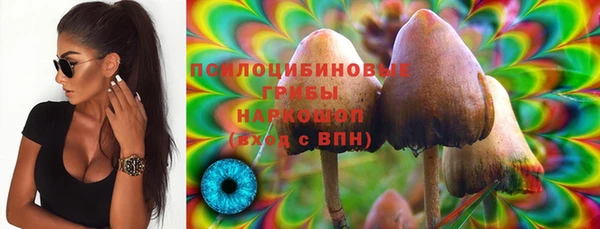 хмурый Арсеньев