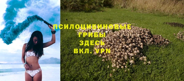 хмурый Арсеньев
