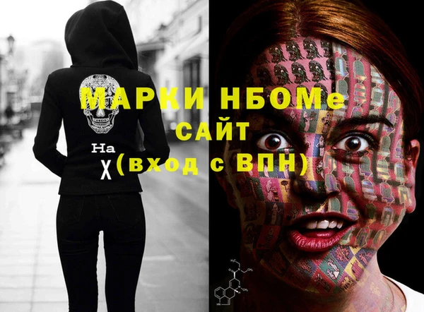 хмурый Арсеньев