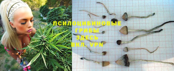 первитин Армянск