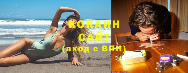 хмурый Арсеньев