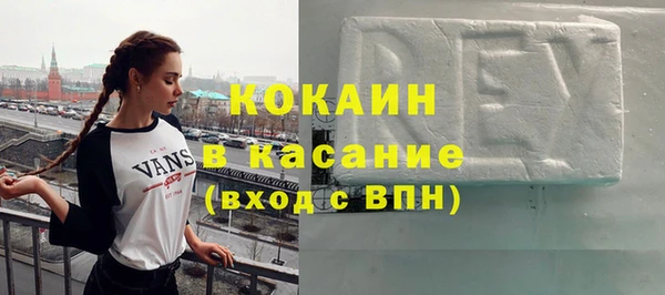 хмурый Арсеньев