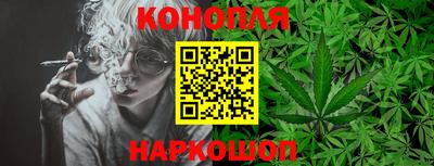 кокс Гай
