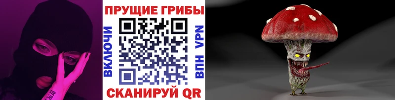 Псилоцибиновые грибы GOLDEN TEACHER  Губаха 