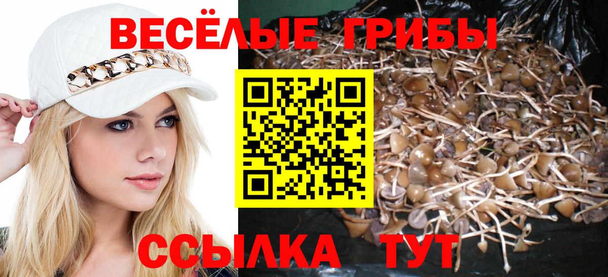 наркота  Псилоцибиновые грибы Cubensis  Вход с VPN  Губаха 