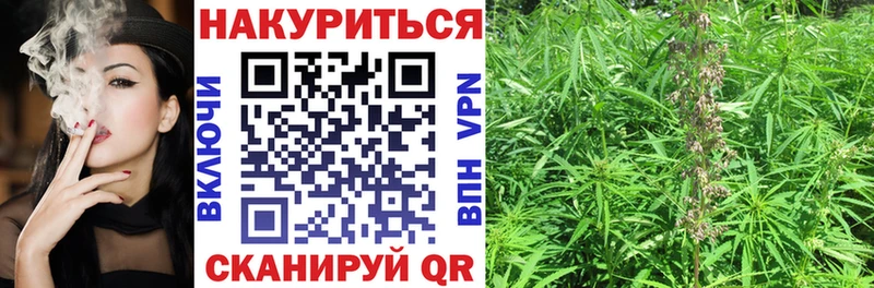 нарко площадка телеграм  ОМГ ОМГ ссылки  Губаха  Шишки марихуана White Widow 