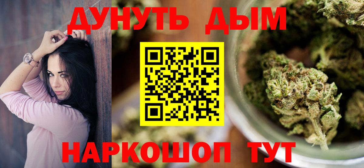 Губаха  МАРИХУАНА ГИДРОПОН  Бошки Шишки Bruce Banner  Конопля MAZAR  Вход с VPN 